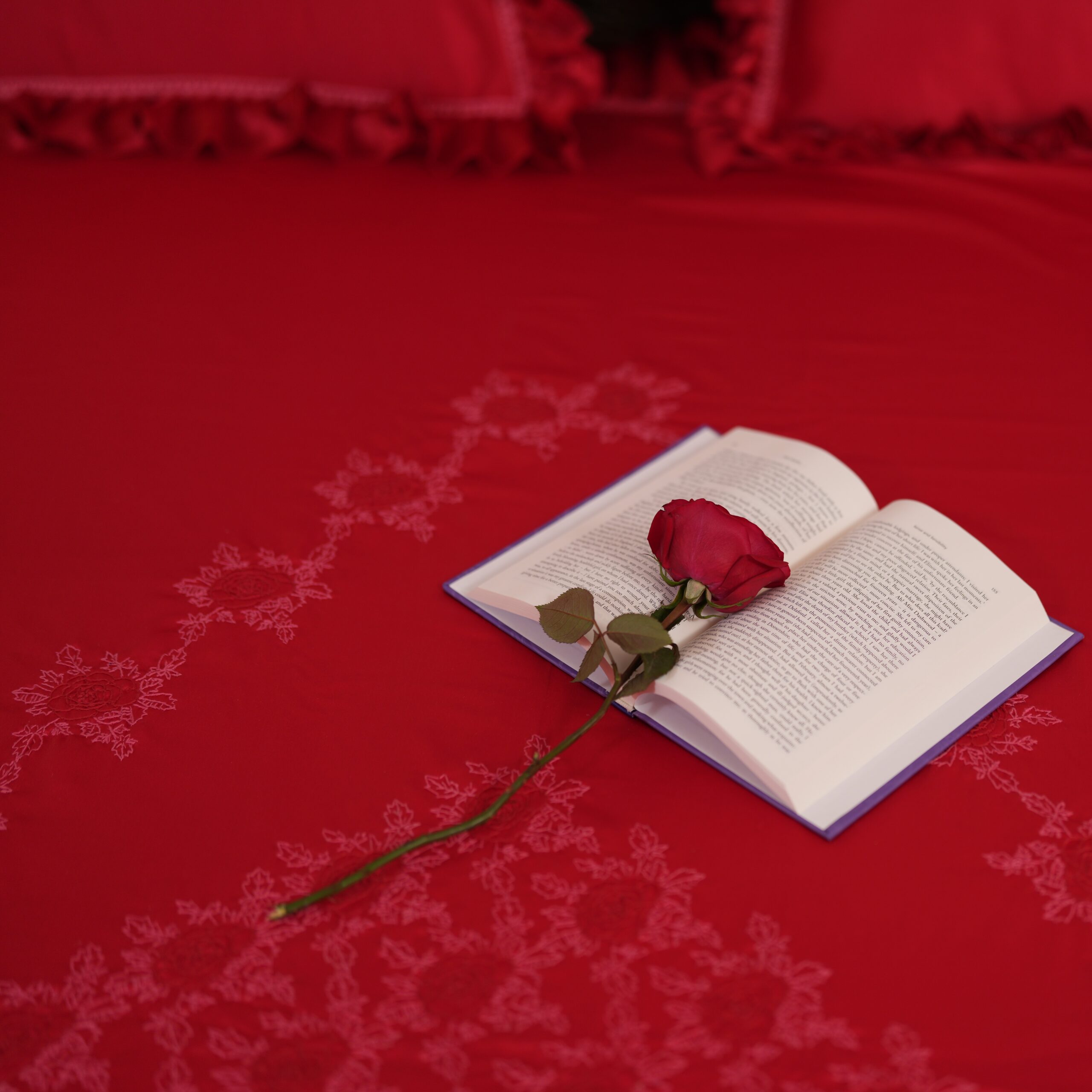 Love Red | Diwan-E-Ishq